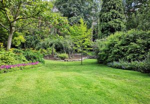 Optimiser l'expérience du jardin à Quevert